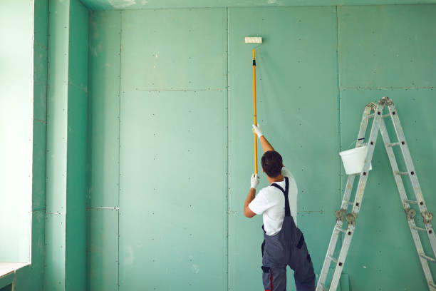 Best Attic Mold Removal  in Perry, OK