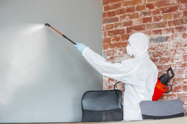 Best Mold Odor Removal Services  in Perry, OK