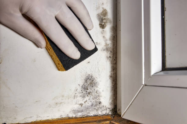 Best Indoor Air Quality Assessment  in Perry, OK