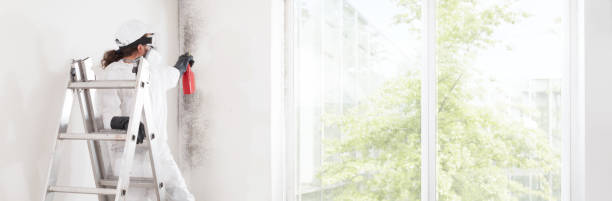 Best Mold Prevention Services  in Perry, OK