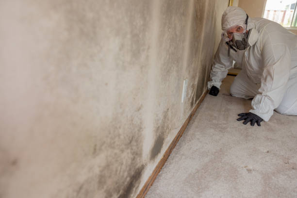 Best Water Damage & Mold Remediation  in Perry, OK