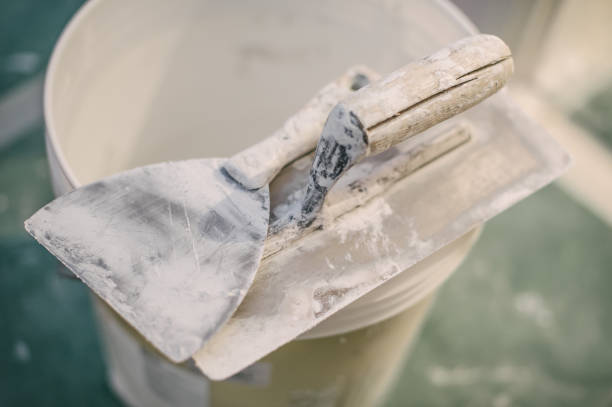 Best Airborne Mold Testing  in Perry, OK